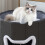 Foldable Pet Bedding Hideaway for Camping Use Indoor 7