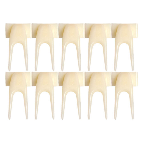 45Pcs Beige Food Feeder Fork for Birds Sturdy Fruit Feeding Accessory