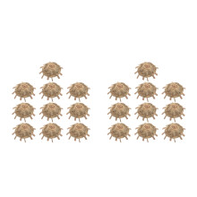 20Pcs Natural Straw Mini Hats for Crafts Doll Photo Props
