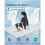 Tapis de refroidissement pour animaux de compagnie à contrôle-L 5
