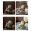 Unique Temperature Sensitive Frogs Teas Pet Elegant Homes-Green 7