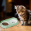 Double Bowl Ceramic Pet Feeder Scratch Resistant Feeding-green 5
