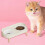 Double Bowl Ceramic Pet Feeder Scratch Resistant Feeding-green 7