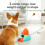 Funny Cats Foraging Feeder Toy Teasing Pedal Interactive Puzzle 7