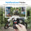 Compatible avec la télécommande Bluetooth GoPro Hero13/12/11/10/9/8/Max T13 4