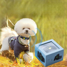 Smart GPS-spårare för katt och hund