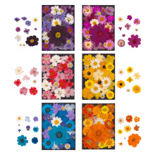Natural Dried Flower For Bookmarks Jewelry Candle Making Natural