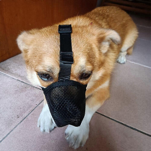 Breathable Anti-Biting Chewing Licking Pet Muzzle Dog Muzzle Anti-lick（L） 2