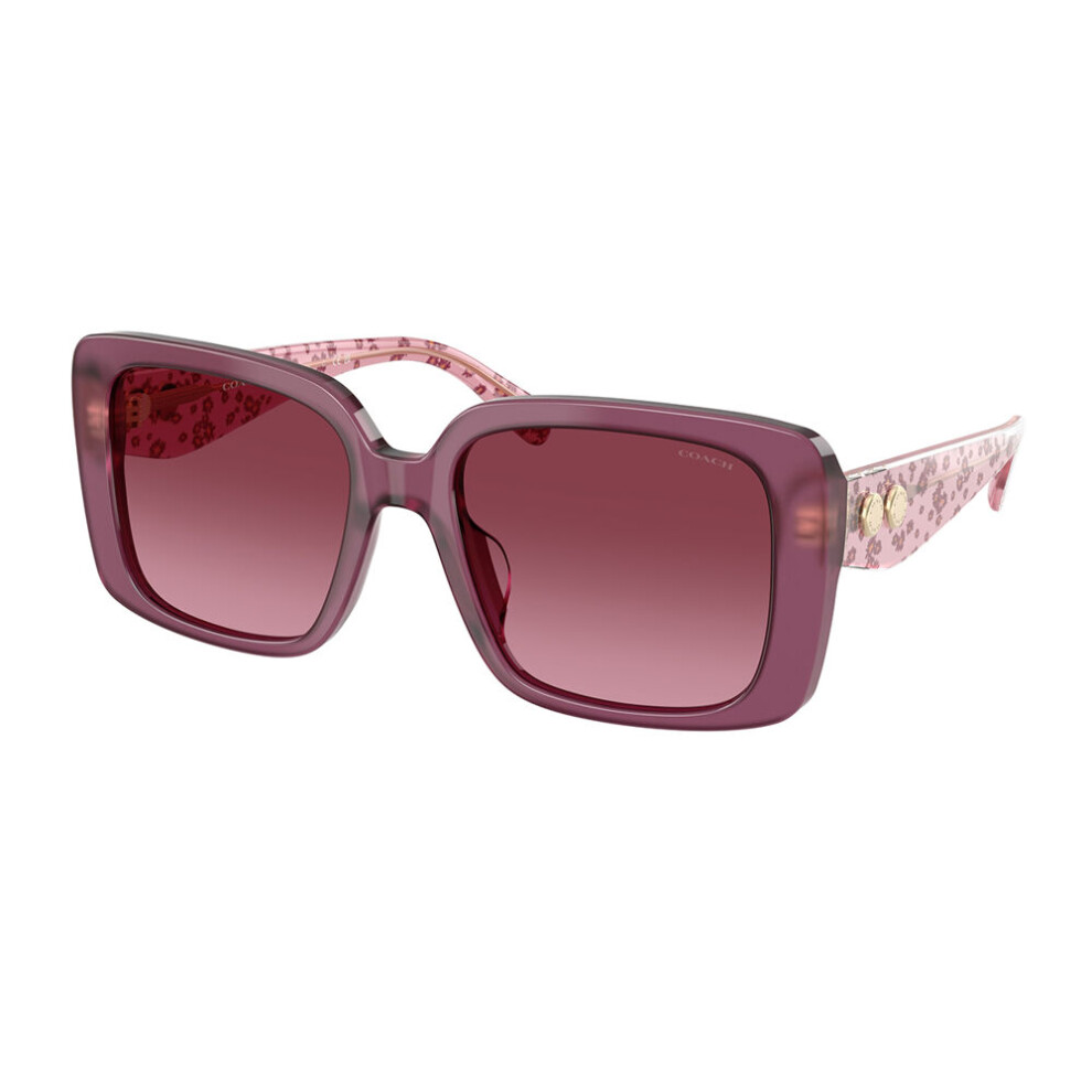 Coach Hc8424u Cad54 59548H Women New Sunglasses Purple
