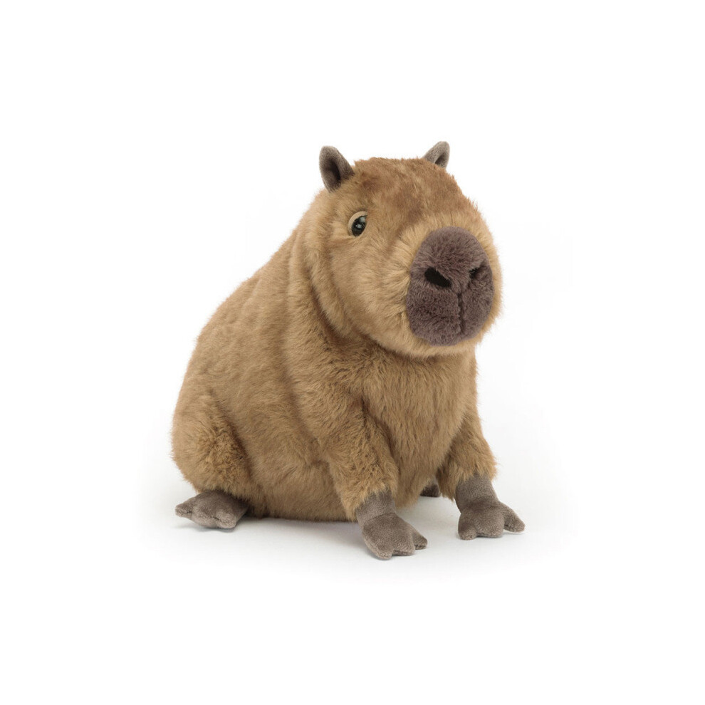 2026 Capybara Plush, Stuffed Animal Toy, Gifts for Kids, 22cm