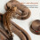Interactive Cat Scratcher Toy - The Ultimate Interactive Mental and Physical Exercise 2