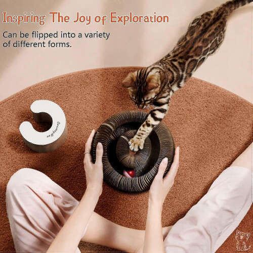 Interactive Cat Scratcher Toy - The Ultimate Interactive Mental and Physical Exercise 2