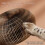 Interactive Cat Scratcher Toy - The Ultimate Interactive Mental and Physical Exercise 5