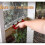 Automatic Chicken Waterer Cups with Trigger Valve, Leak-Proof Poultry Drinking System (6-Pack) 4