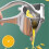 Spremiagrumi manuale antiruggine per limoni, arance e pompelmi 5
