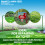 Gro-Sure Lawn Seed Fast Start 40m2 Aqua Gel 3