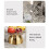 Decorative Tall Snack Holder With Divided-Glacie WhiteG 6