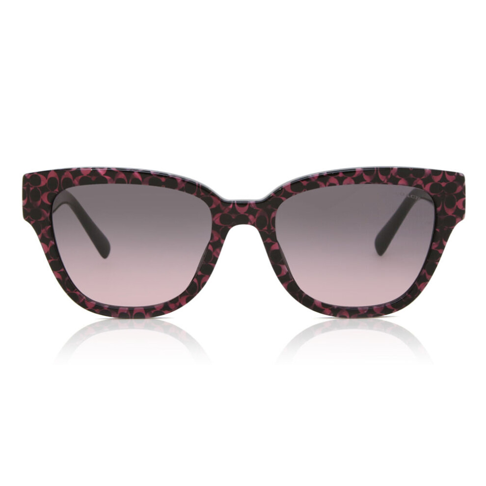 Coach Hc8379u Cl920 578346 Women New Sunglasses Multicoloured