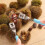 Steel Chestnut Peeler Sheller With Ergonomic Plastic Handle 4