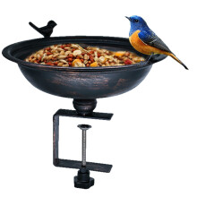 Ideal Present for Bird Beloveds Porch Supplier Easy