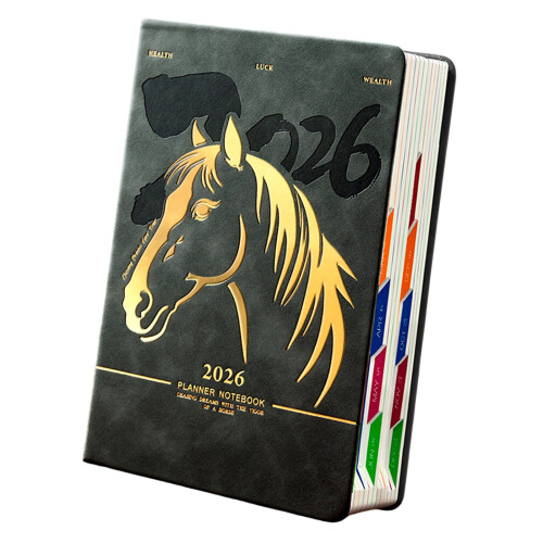 Professionele 2026-dagplanner, 400 pagina's, gedateerd-zwart