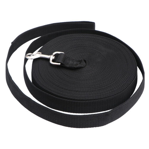 Laisse De Promenade Durable Pour Animaux