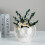 Rustics Farmhouse Vases Ceramic Flower Vases Decorative-Pink 7