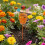 Modern Flower Pot Stands Decorative Stakes-Threepiece bucket 7