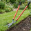 Lawn Edging Shears | Long Handle Garden Border Trimmer 4