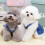 Jupe de Type Jean bleu à la mode pour chiens de compagnie,-XL2 3