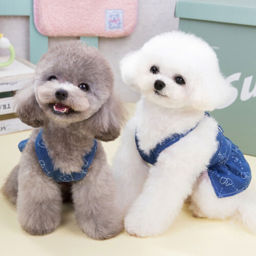 Jupe de Type Jean bleu à la mode pour chiens de compagnie,-XL2 2