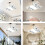 Multipurpose Ceiling Fan and Light with 50W LED and Remote-Blue 2