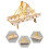 Interactive Physics Teaching Aid Wooden Suspension Bridge Model 4
