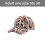 Warm Thick Plush Baseball Hat with Popular Leopard Pattern-2 3