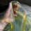 Multiple Color Shimmering Organza Materials Perfect For-B 5