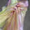 Multiple Color Shimmering Organza Materials Perfect For-B 6