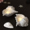 Bougeoir polyvalent en forme de conque, moule en Silicone,-B 5