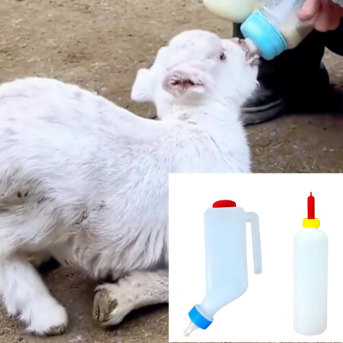 Robuste Lamm-Flasche mit Sauger und bequemem Griff. Großes 1