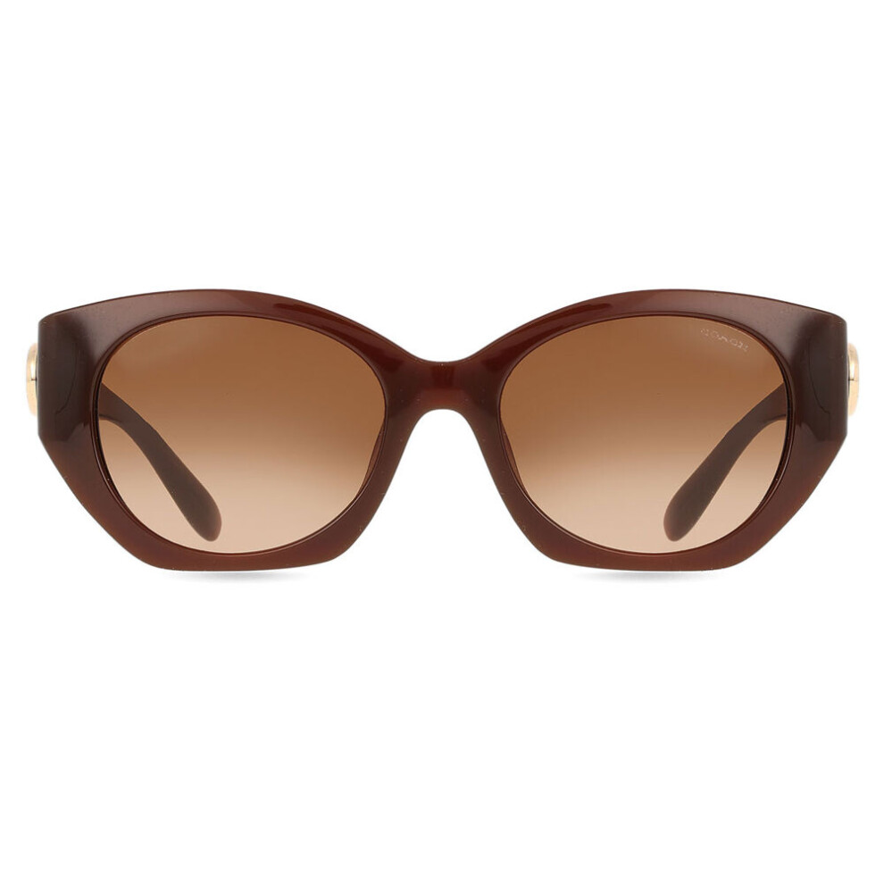 Coach Hc8407u Cw194 584174 Women New Sunglasses Brown