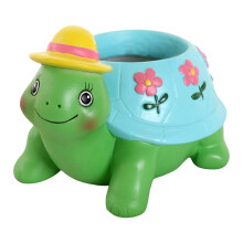 Cartoon Vetplanten Potten Schildpad Vorm Vetplanten Planter