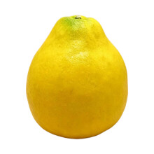 Yellow Grapefruit Artificial Fruit Ornament Ideal For Kitchen