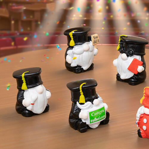 5 Graduation Gnomes Figurines Capricious Resin Miniatures 1