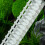 2Pcs Plastic Stack Rock Step For Fish Tanks Add To Underwater 6