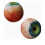 Realistic Monsters Eye Decors Gothic Eyeballs Figurines-Blue 7