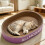 Multiuse Felines Hideaways Scratching Board For-Purple S 6