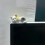 Sculptures de chats miniatures mignons, 10 pièces,-chihuahua 3