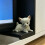 10PCS Miniature Cats Statues Resin Decorative-1fox cat 1 7