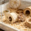 Maison de Hamster, cachette, échelle d'escalade, habitat pour-1 4