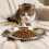 12PCS Elegante Edelstahl Flache Katzen Lebensmittel Platte 5