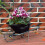 Decorative Wheeled Planter Flower Container Retro Iron Flowerpot 5